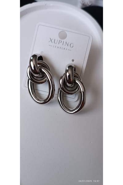 ARİ TAKI Silver Brand Steel Earrings with Rings