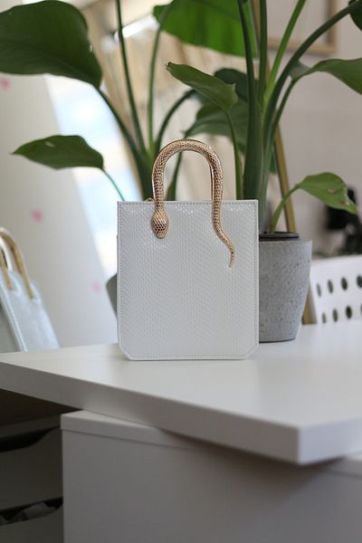 Moom Bag Women's White Snake Accessory Handle Chain Shoulder Bag