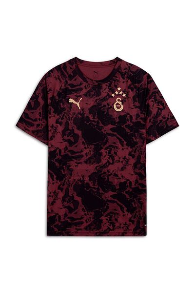 Puma Galatasaray Men's Pre-Match Training T-Shirt