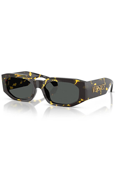 Versace Ve4489U 552887 55 Men's Sunglasses