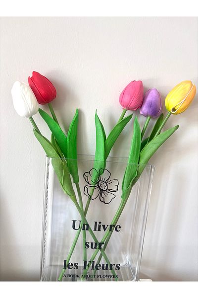 DEFORA Mika Book Pinterest Vase and Mixed Color Wet Look Tulip
