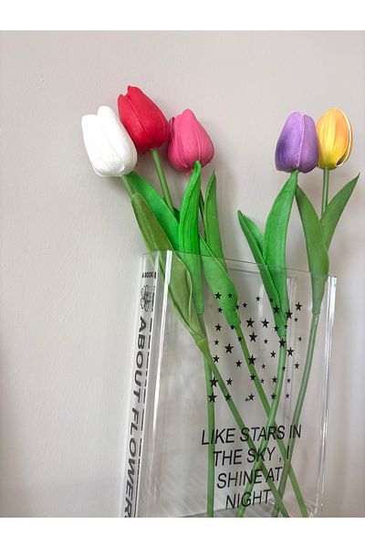 DEFORA Mika Book Pinterest Vase and Mixed Color Wet Look Tulip