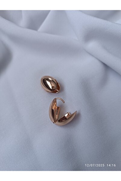 ARİ TAKI Peanut Model Steel Earrings Rose