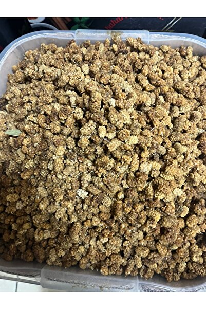 GÜNEŞ’de KURUTULMUŞ DUT KURUSU ÇEMİŞ(250gr)