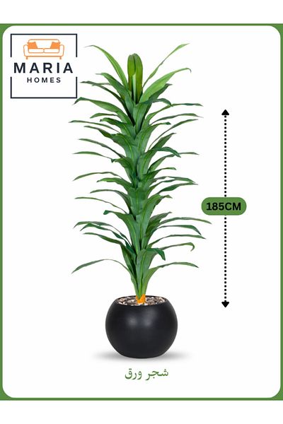 MARIA HOMES Artificial Corn Leaf Tree 185 cm – Indoor Plant with Black Plastic Pot