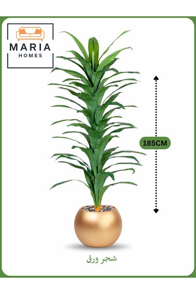 MARIA HOMES Artificial Corn Leaf Tree 185 cm – Decorative Indoor Plant with Gold Plastic Pot