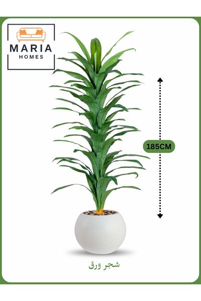 MARIA HOMES Artificial Corn Leaf Tree 185 cm – Tall Indoor Plant with White Plastic Pot