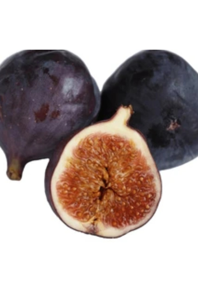 Duru Halk Manavı INCIR SIYAH