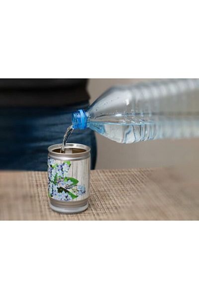 Gadget Master Floare de Nu-mă-uita într-o cutie