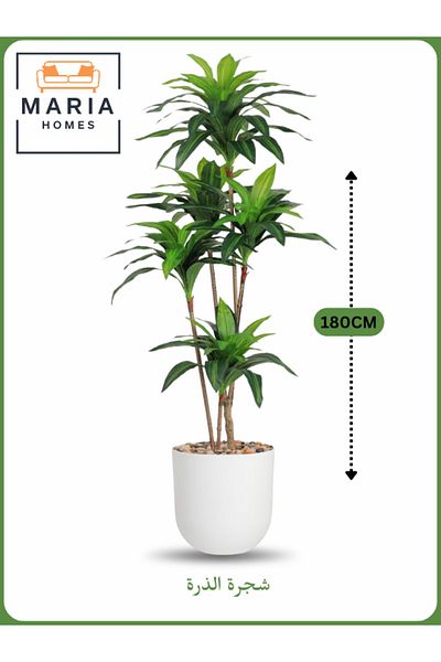 MARIA HOMES Artificial Corn Leaf Tree 180 cm – Indoor Faux Plant with White Pot