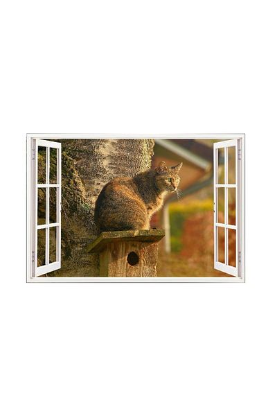 BV Decorative sticker, 3D window, Cat, 85 cm, 502STK