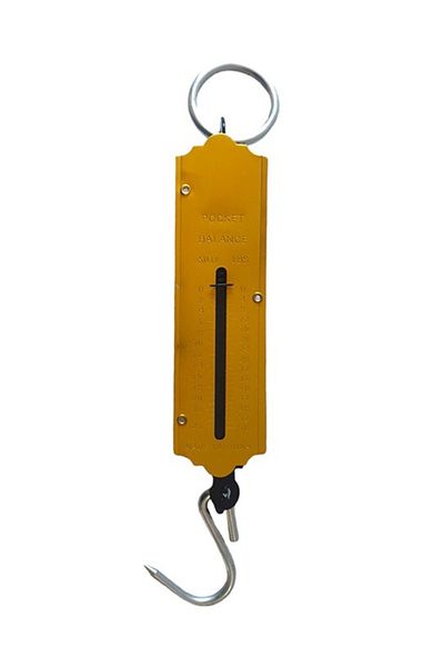 BV Manual Pocket Scale 25KG, Gold, HML35