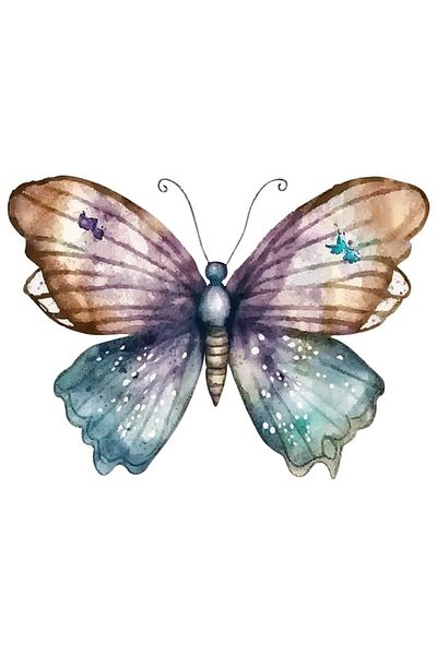 BV Decorative sticker, Butterfly, Multicolor, 80 cm, 1207STK-3