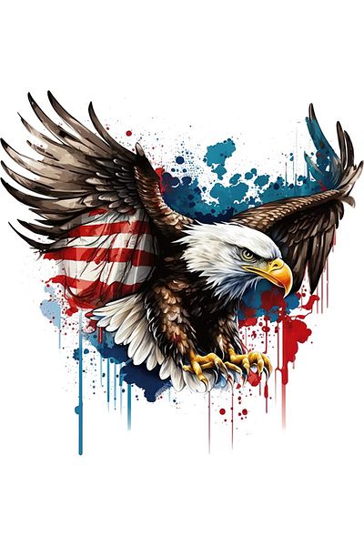 BV Decorative sticker, American Eagle, Multicolor, 60 cm, 1270STK-3