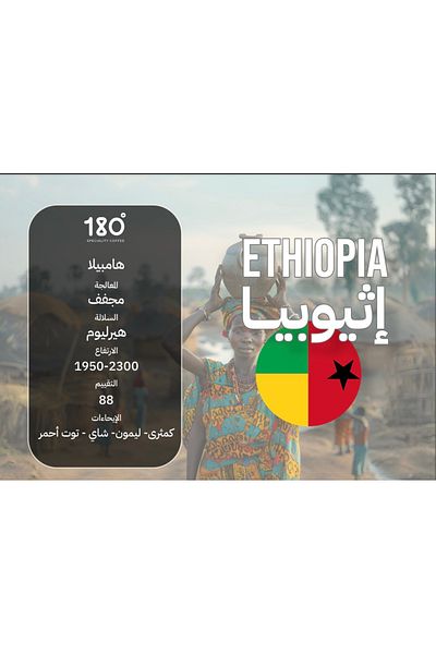 Coffee Ethiopia Hambela Coffee (250g)