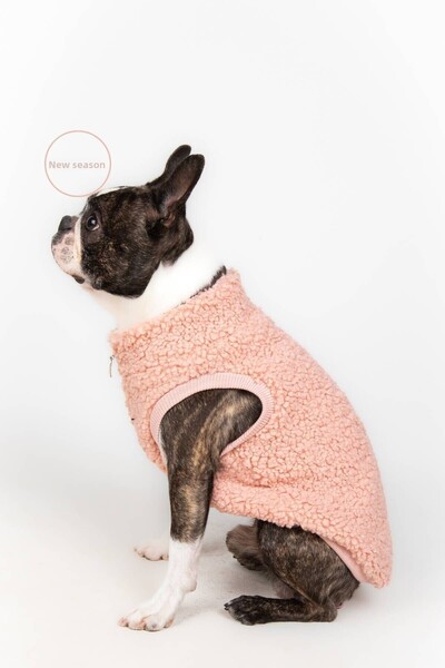 salya store Zipper Teddy Dog Jacket - Dusty Rose Outfit