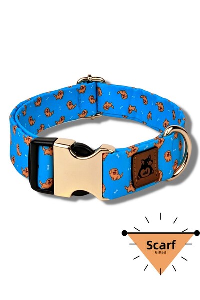 UTDpet طوق كلب جولدي