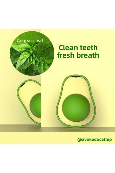 Ardinyo AvocadoCatnipCat Grass - 360 Degree Rotating Healthy Licking Ball