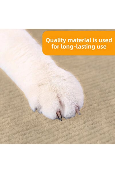 BEYLİNİ Cat Scratching Carpet Adhesive Applicable to Any Surface Cuttable Furniture Protective Mat (40X50)