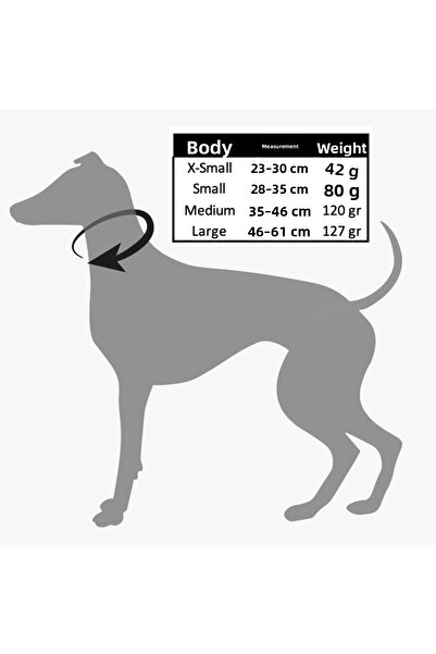 GoPawGo Valentine's Day Charm Dog - Neck Collar and Walking Set