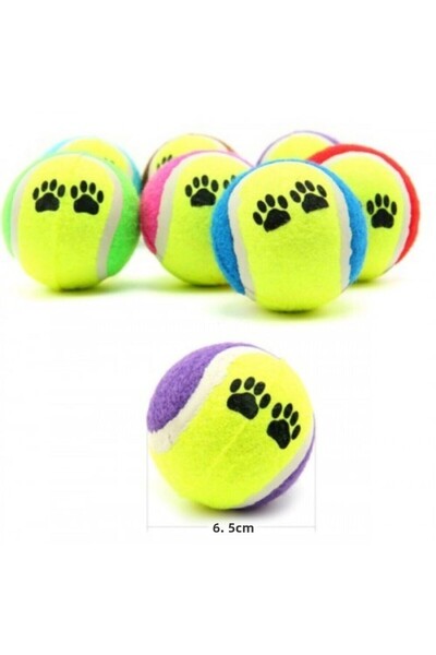 CMT Pet Training Ball Set of 1