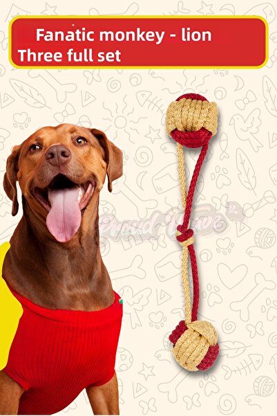 Proud Wave Fanatic Dental Lanyard - Yellow Red Traction Dog Toy, Medium Large...