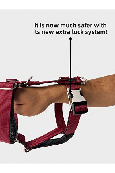 Jimi pet Bordox Model Leash Set