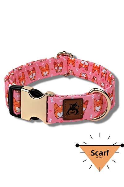 UTDpet طوق كلب كورجي