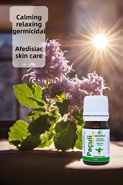 EinNatur زيت الباتشولي العطري 5 مل - زيت أساسي نقي 100%، بوجوستيمون كابلين