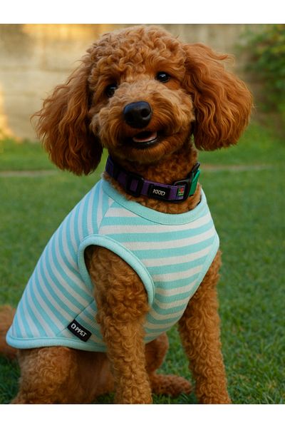 oyapet Cat Dog Undershirt, Small-Medium Breed, Cat Dog Clothing