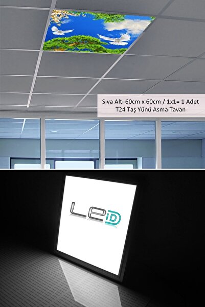 Gökyüzü Panel Asma Tavan-60cmx60cm-sıva Altı-54w-6500k-beyaz-led Panel-led Armatür- 60x60 Taş Yünü Asma Tavan -led