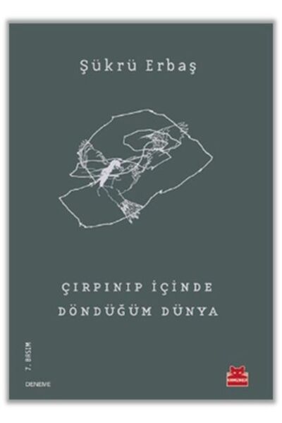 Kırmızı Kedi Yayınevi Çırpınıp Içinde Döndüğüm Dünya