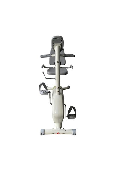 lijiujia 4kg Spinning Bike with Backrest and Wheel Max User Weight 110kg Bc27003