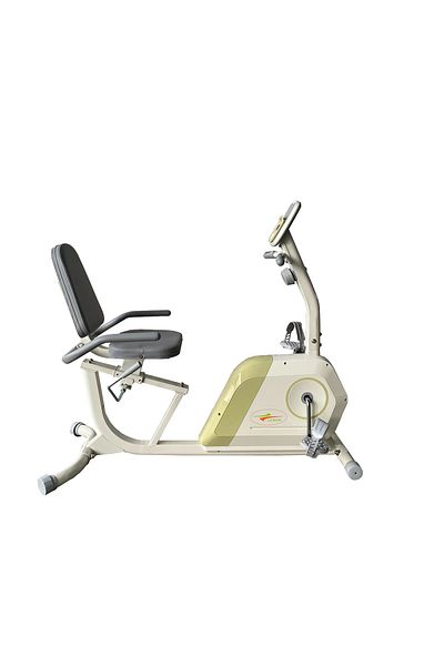 lijiujia 4kg Spinning Bike with Backrest and Wheel Max User Weight 110kg Bc27003