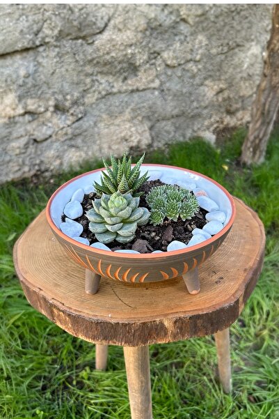 AdenArt Διακοσμητικό μπολ 20 εκ. - Γλάσο από πηλό, με βάση Με σχέδιο , Γλάστρ...