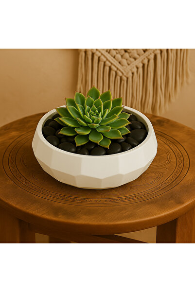 DemCey Home Geometric Concrete Stone Bowl Sugar Bowl Decorative Bohemian Presentation Plate