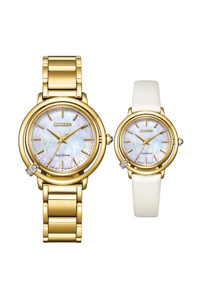 Citizen Eco-Drive Em1092-64D Women's Watch with Replacement Strap