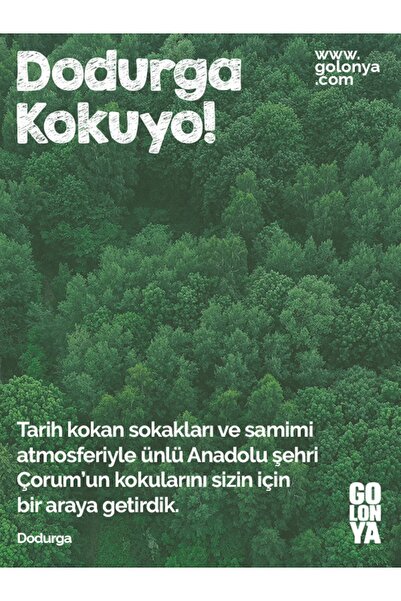 Golonya Dodurga - 250 ml Cam Şişe