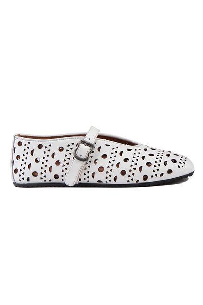 Pegia Balerini de damă din piele naturală cu model 700952