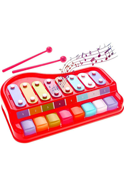 Salamandra Set xilofon si pian pentru copii