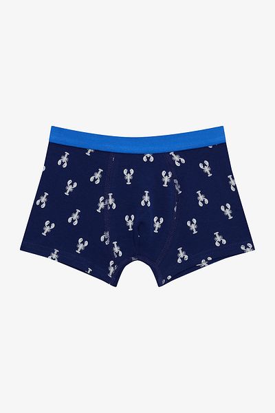 Penti Boy's Mediterranean Multicolored 2-Pack Boxers