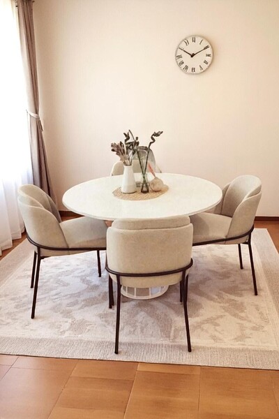 Kaktüs Avm Mutfak Sandalyesi 4'lü Set Salon Sandalyesi Papel Sandalye Yemek Sandalye Lüks Sandalye Morena