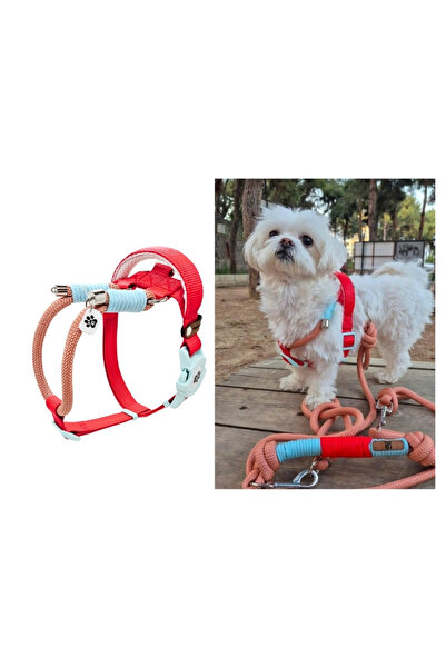 IG Design Halat H Type Göğüs Tasması