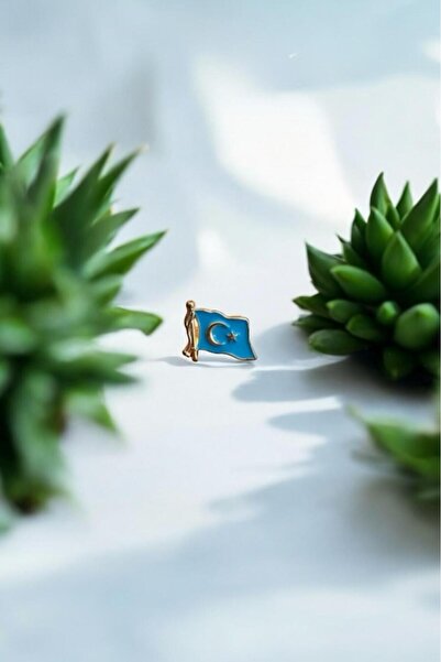 Bi Dünya Haber Doğu Türkistan Broş