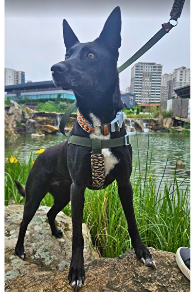 IG Design %100 El Yapımı Örgülü Göğüs Tasması