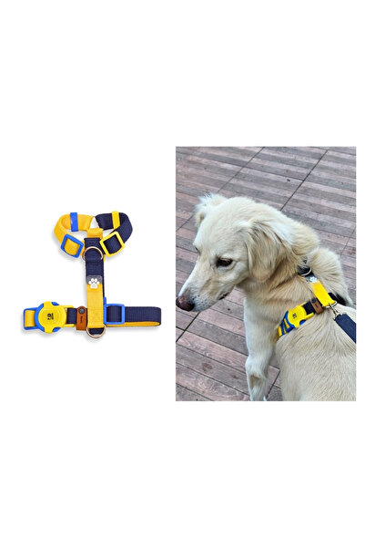 IG Design مروحة H نوع طوق الصدر