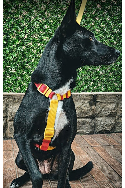 IG Design Fan H Type Chest Collar