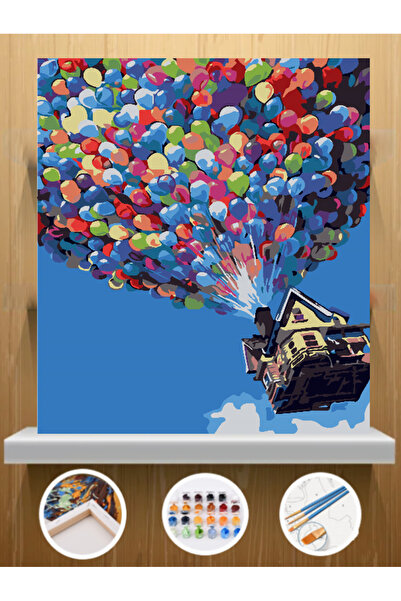 CNS HOBBY TUVAL Sayılarla Boyama Ve Hobi Seti Tuvale Gerilmiş Kasnaklı 30x40 ...