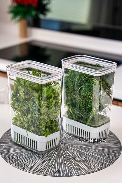 Comprox Greenery Storage Container Set of 2 – 2900 ml |   Vegetable Storage & Refrigerator Freshener Box