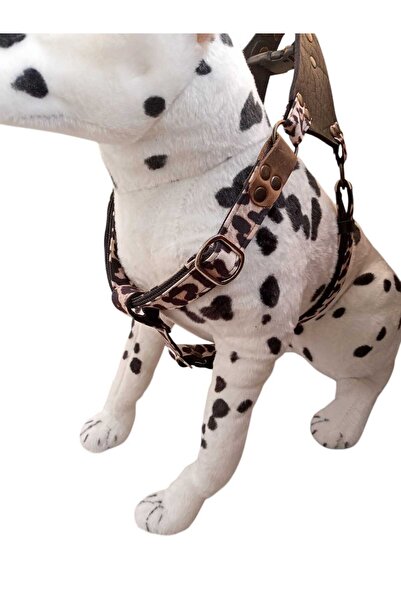 balkonda Köpek Göğüs Tasması Hakiki Deri Kot Kolon Büyük Irk Göğüs Ölçüsü:50-90cm Ayarlı Dog Harness Gt4-6